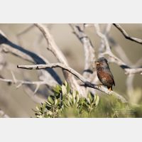 5472 x 3648 _Px_RM_180401__D2_7421.jpg