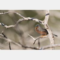 5472 x 3648 _Px_RM_180401__D2_7440.jpg