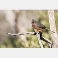 5472 x 3648 _Px_RM_180401__D2_7462.jpg