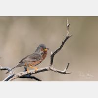 5472 x 3648 _Px_RM_180401__D2_7478.jpg