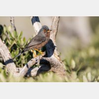 5472 x 3648 _Px_RM_180401__D2_7490.jpg