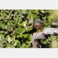 5472 x 3648 _Px_RM_180401__D2_7494.jpg