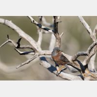 5472 x 3648 _Px_RM_180401__D2_7560.jpg