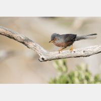 5472 x 3648 _Px_RM_180401__D2_7622.jpg