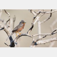 5472 x 3648 _Px_RM_180401__D2_7627.jpg