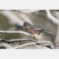 5472 x 3648 _Px_RM_180401__D2_7699.jpg