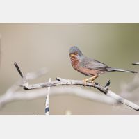 5472 x 3648 _Px_RM_180401__D2_7734.jpg