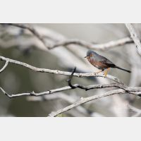 5472 x 3648 _Px_RM_180401__D2_7745.jpg