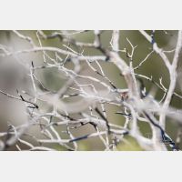 5472 x 3648 _Px_RM_180401__D2_7783.jpg