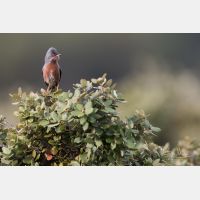 5472 x 3648 _Px_RM_180402__D2_8202.jpg