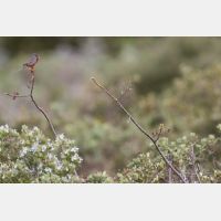 5472 x 3648 _Px_RM_180402__D2_8209.jpg