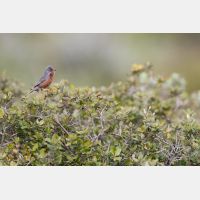 5472 x 3648 _Px_RM_180402__D2_8226.jpg