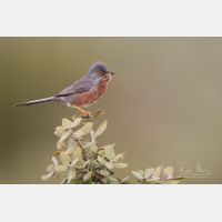 5472 x 3648 _Px_RM_180402__D2_8231.jpg