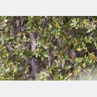 5472 x 3648 _Px_RM_180403__D2_9186.jpg