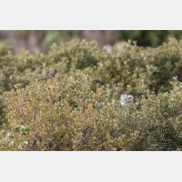 5472 x 3648 _Px_RM_180403__D2_9196.jpg