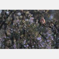 5472 x 3648 _Px_RM_190124_Q4A4918.jpg