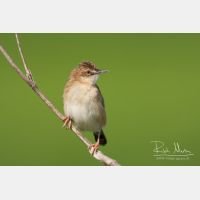 3888 x 2592_Px _RM_110329_MG_6657.jpg