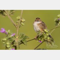 4527 x 3018_Px _RM_140307_MG_1754.jpg