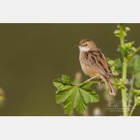 4563 x 3042_Px _RM_140307_MG_1701.jpg