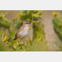 4604 x 3070_Px _RM_140309_MG_0075.jpg