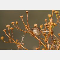 4763 x 3176_Px _RM_130423_MG_4683.jpg