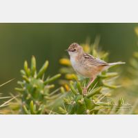 4880 x 3254_Px _RM_140309_MG_0171.jpg