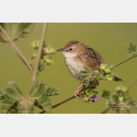 4888 x 3259_Px _RM_140307_MG_1772.jpg