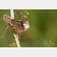 5184 x 3456_Px _RM_140307_MG_1723.jpg