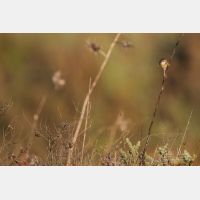 5472 x 3648 Px   _RM_190127_Q4A9058.jpg