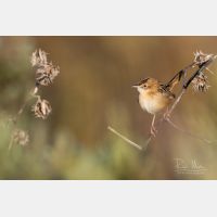 5472 x 3648 Px   _RM_190127_Q4A9128.jpg