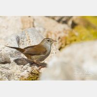 3813 x 2542_Px _RM_140227_MG_5825.jpg