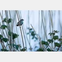 4304 x 2870 Px   _RM_190426_D2_2981.jpg