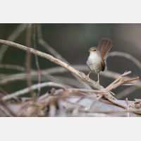 4311 x 2874 Px   _RM_190425_D4_2003.jpg