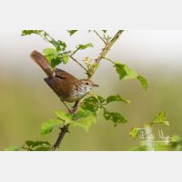 4489 x 2993_Px _RM_130424_MG_5134.jpg