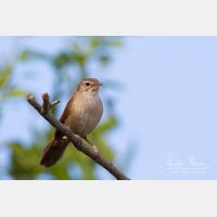 4543 x 3029_Px _RM_130424_MG_5008.jpg