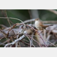 5128 x 3419 Px   _RM_190425_D4_2045.jpg