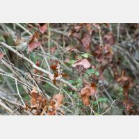 5401 x 3601 Px   _RM_190425_D4_1962.jpg