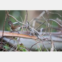 5596 x 3731 Px   _RM_190425_D4_2076.jpg