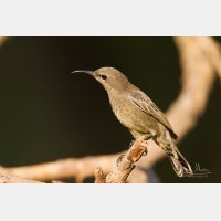 5184 x 3456 _Px_RM_141105_MG_0683.jpg