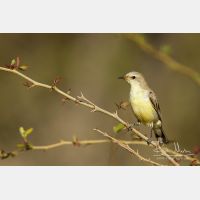 4659 x 3106_Px _RM_130210_MG_6519.jpg