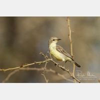 4678 x 3118_Px _RM_130210_MG_6537.jpg