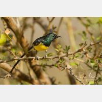 4700 x 3134_Px _RM_130210_MG_6497.jpg