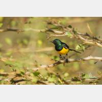 4859 x 3239_Px _RM_130210_MG_6434.jpg