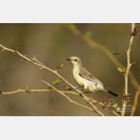 4994 x 3329_Px _RM_130210_MG_6510.jpg