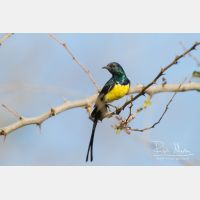 5087 x 3391_Px _RM_130210_MG_6545.jpg