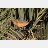 4774 x 3183_Px _RM_140225_MG_5039.jpg