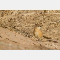 4846 x 3231_Px _RM_140228_MG_7031.jpg