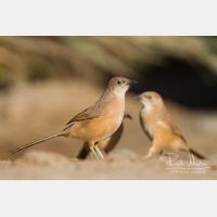 4931 x 3287_Px _RM_140225_MG_5058.jpg