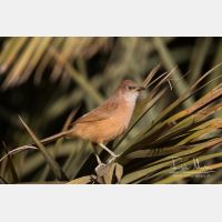 5184 x 3456_Px _RM_140225_MG_5007.jpg