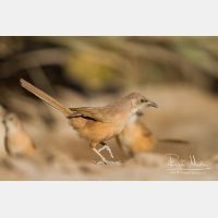 5184 x 3456_Px _RM_140225_MG_5052.jpg